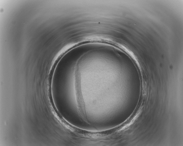 X0000087551045200705041323