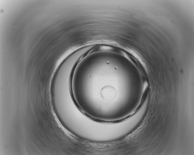 X0000087551046200705041323