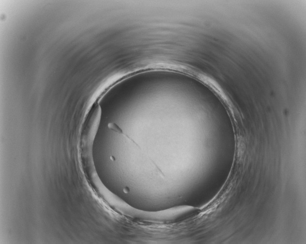 X0000087551048200705041323