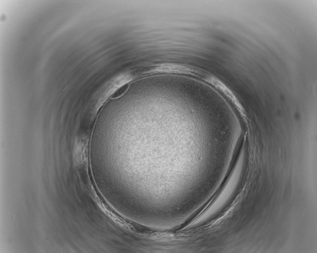 X0000087551049200705041323