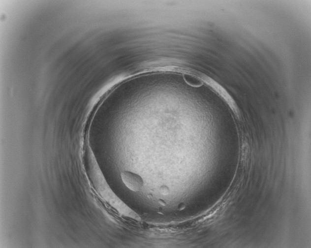 X0000087551051200705041323