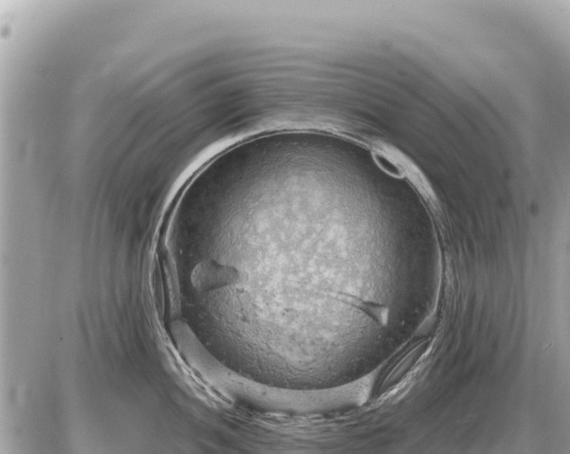 X0000087551052200705041323