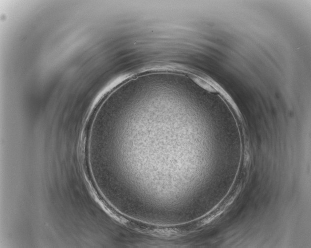 X0000087551053200705041323