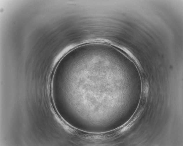 X0000087551054200705041323