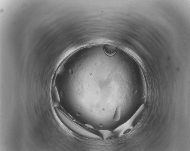 X0000087551055200705041323