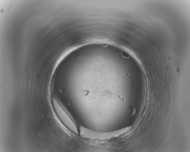 X0000087551056200705041323