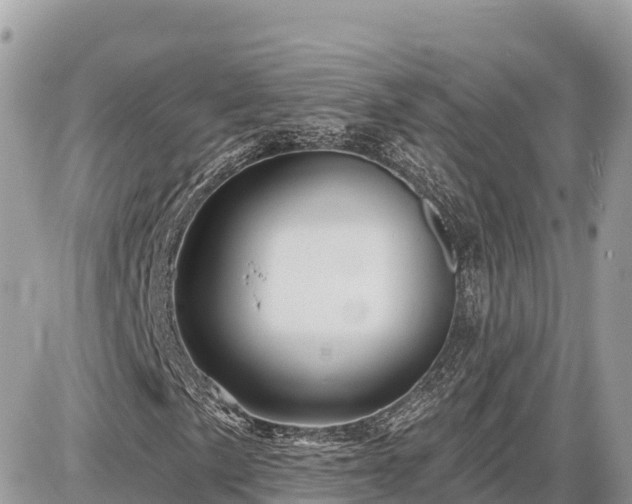 X0000087551057200705041322