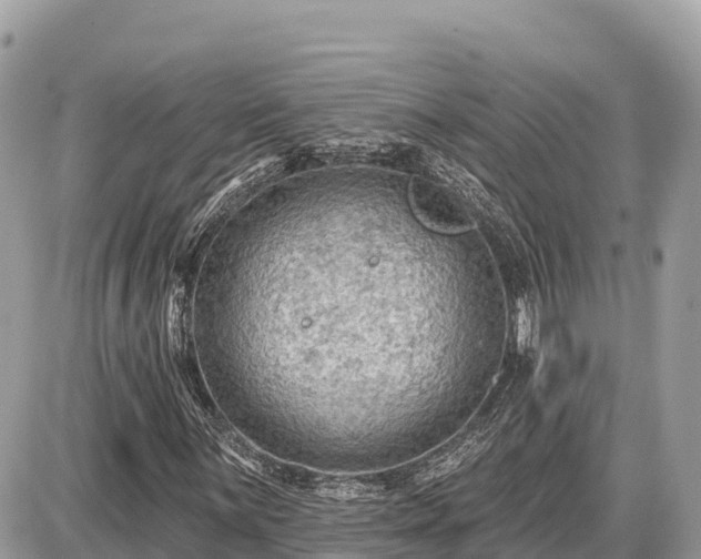 X0000087551059200705041322