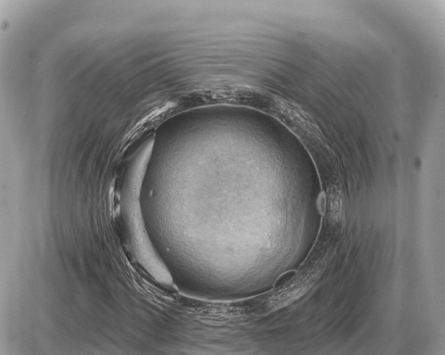 X0000087551060200705041322