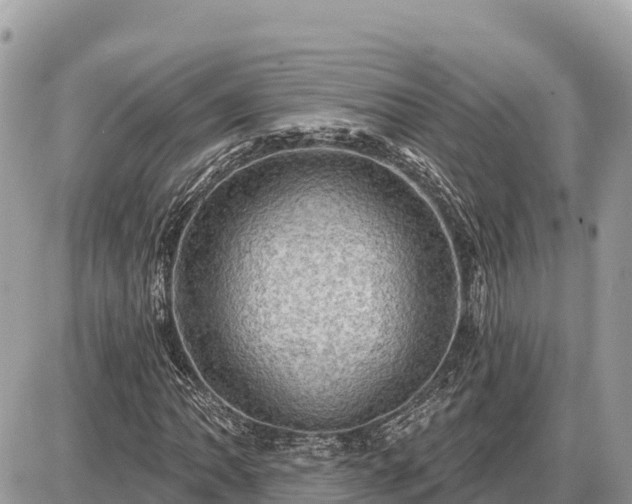 X0000087551062200705041322