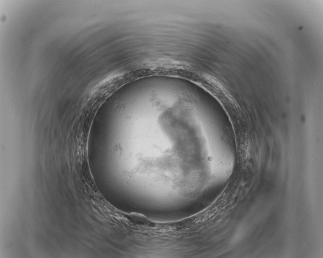 X0000087551063200705041322