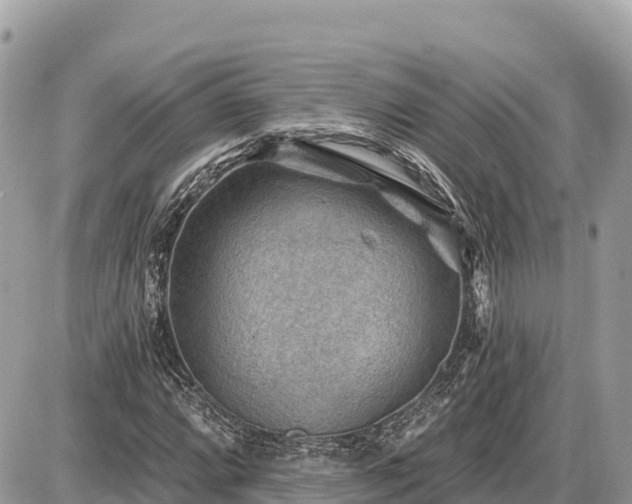 X0000087551064200705041322