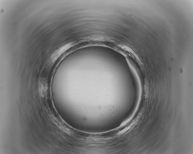 X0000087551065200705041322