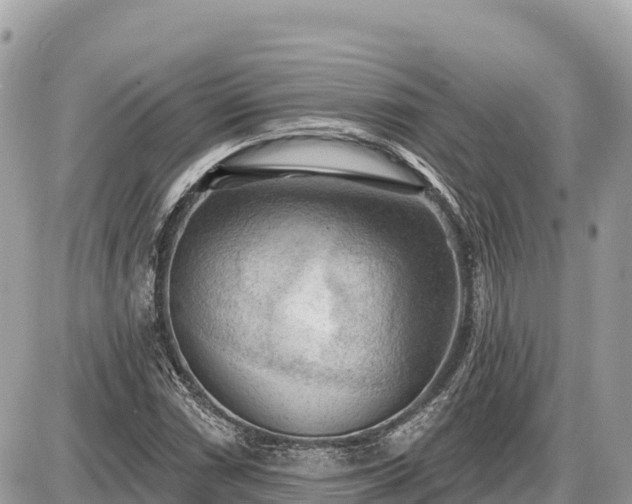 X0000087551066200705041322