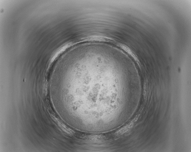 X0000087551067200705041322