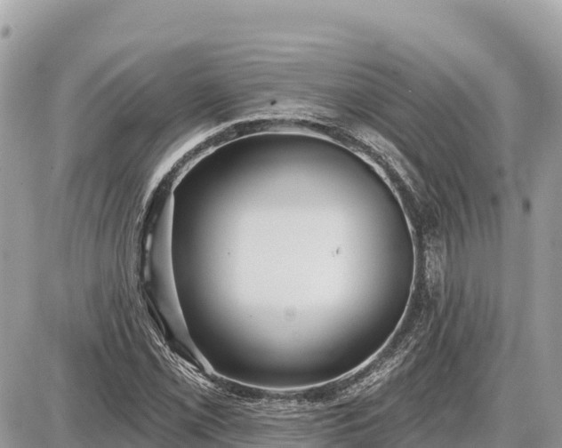 X0000087551069200705041322