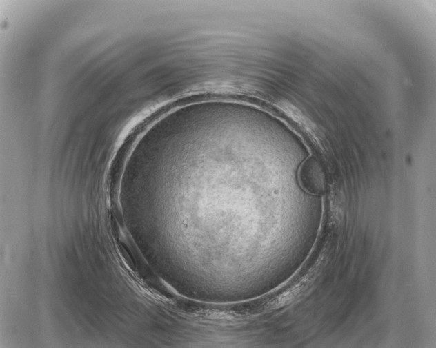 X0000087551070200705041322