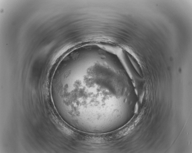 X0000087551071200705041322