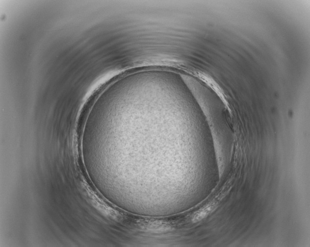 X0000087551072200705041322