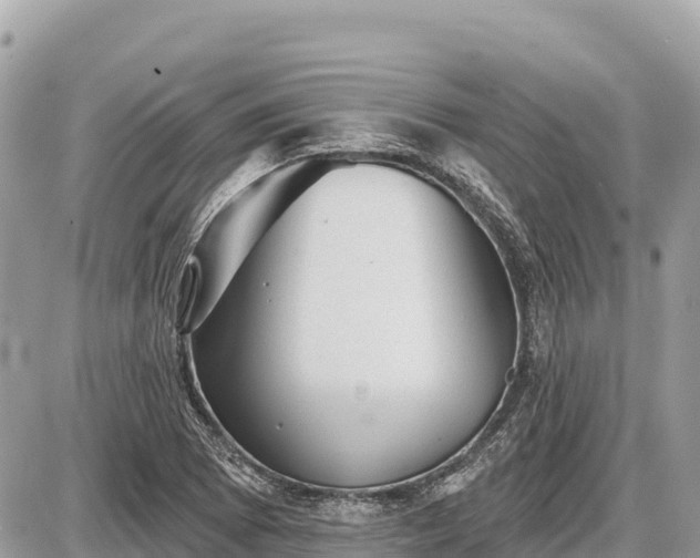 X0000087551073200705041322