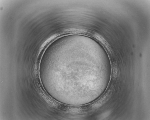 X0000087551074200705041322