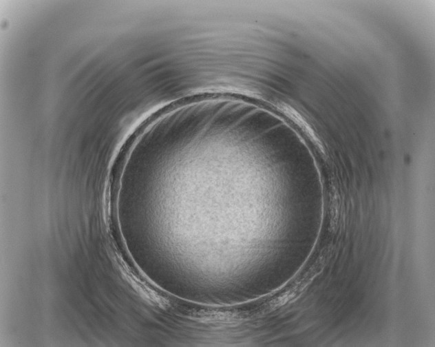 X0000087551076200705041322