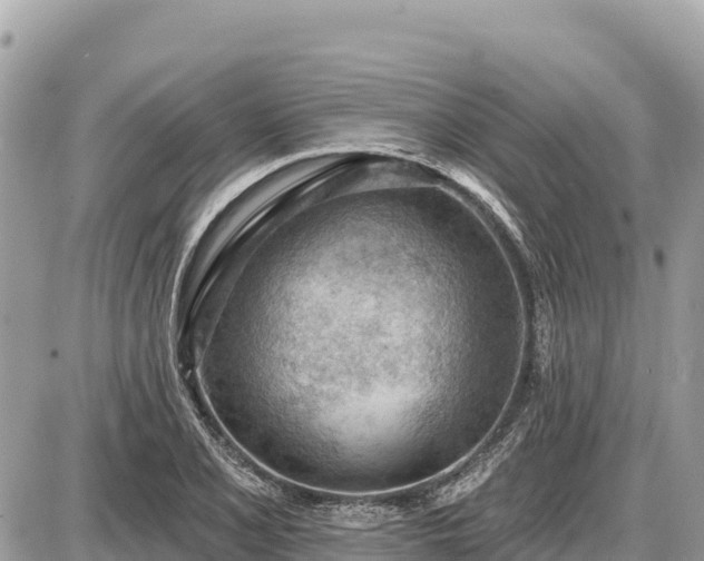 X0000087551077200705041322