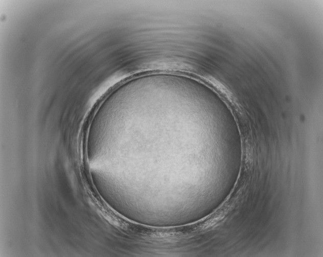 X0000087551078200705041322