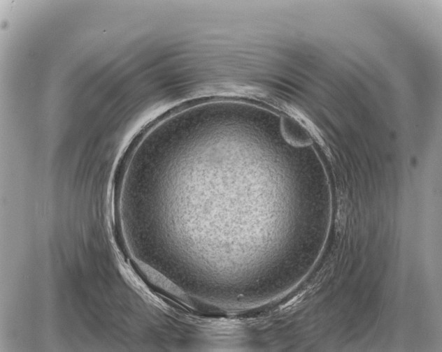 X0000087551080200705041322