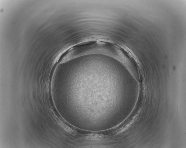 X0000087551081200705041322