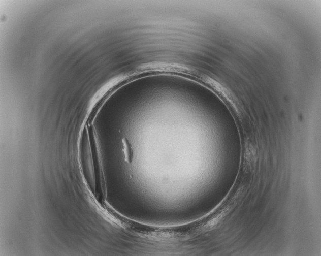 X0000087551082200705041322