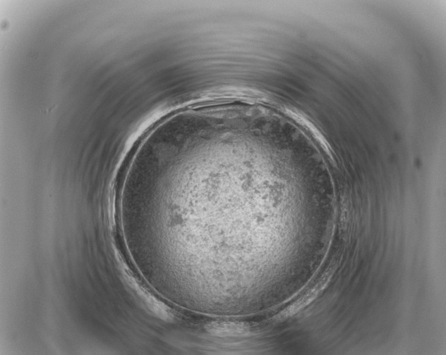 X0000087551083200705041322