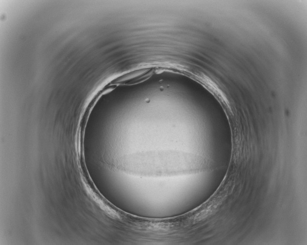 X0000087551084200705041322