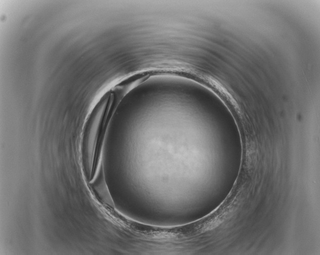 X0000087551085200705041322