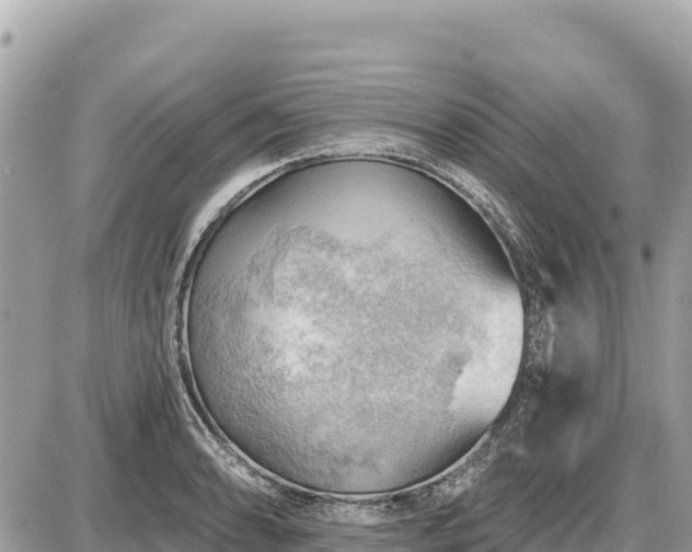 X0000087551086200705041322