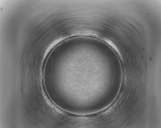 X0000087551088200705041322