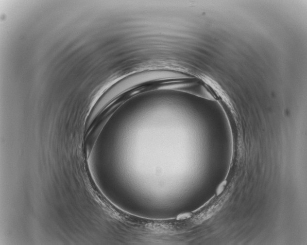 X0000087551089200705041322