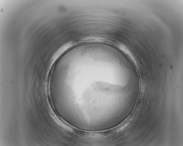 X0000087551090200705041322