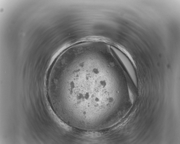 X0000087551091200705041322