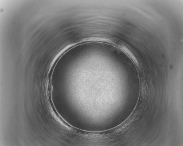 X0000087551092200705041322