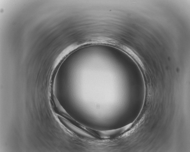 X0000087551093200705041322