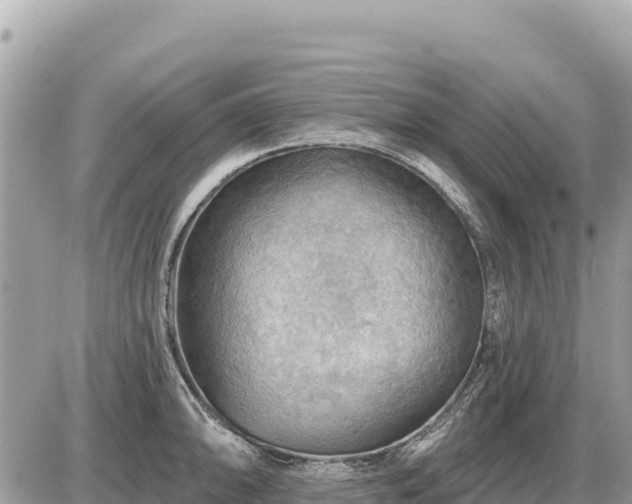 X0000087551094200705041322