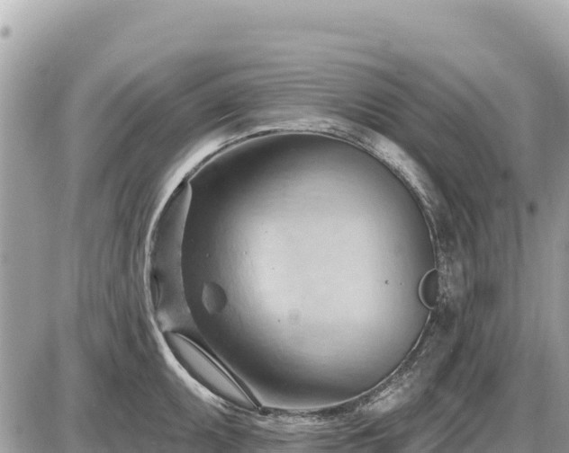 X0000087551095200705041322