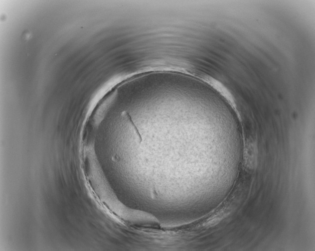 X0000087551096200705041322