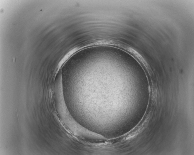 X0000087551097200705041322