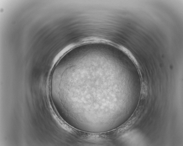 X0000087551098200705041322