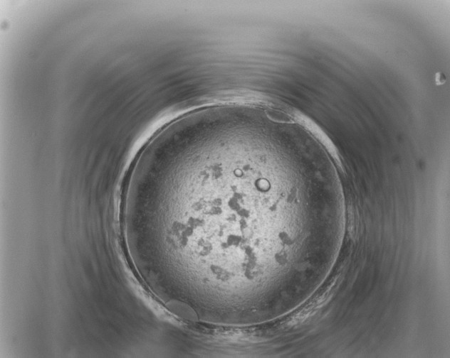 X0000087551099200705041321