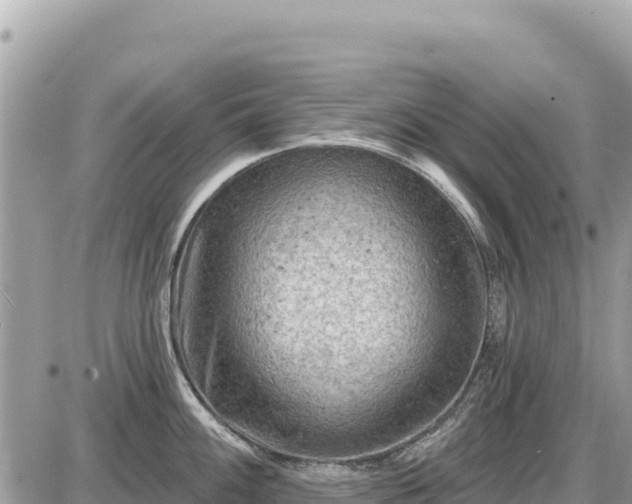 X0000087551100200705041321