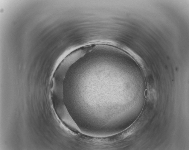 X0000087551102200705041321