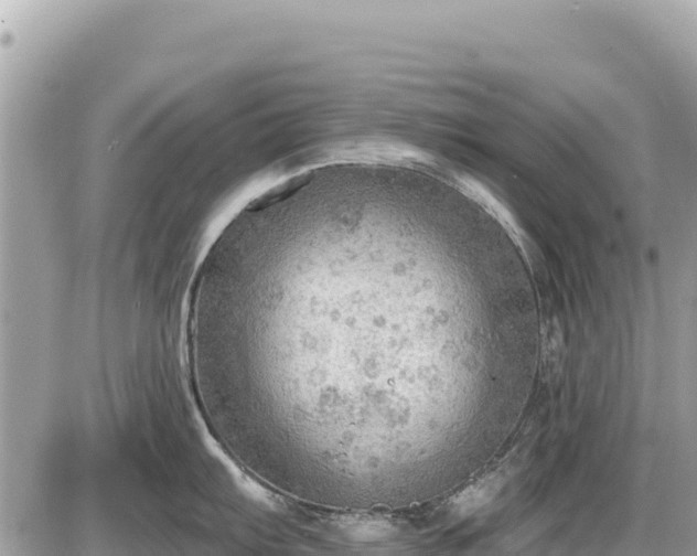 X0000087551103200705041321